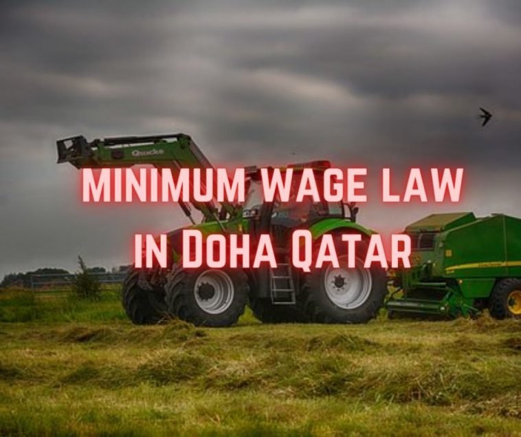 minimum wage law